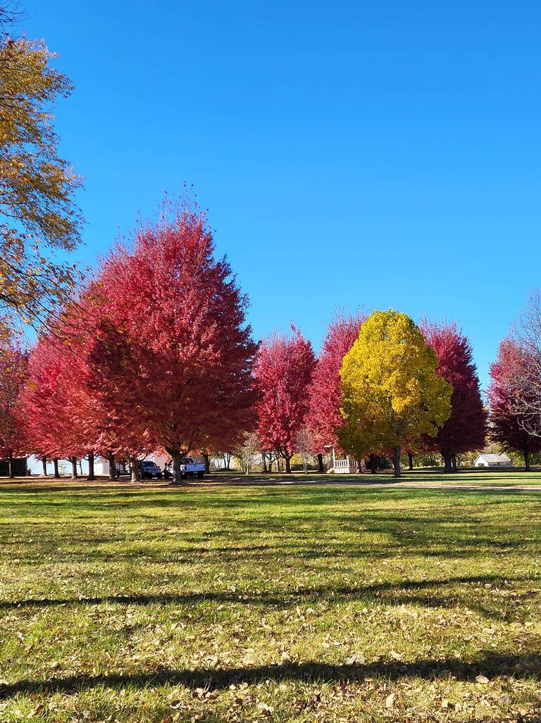 20241024 133423 Copy