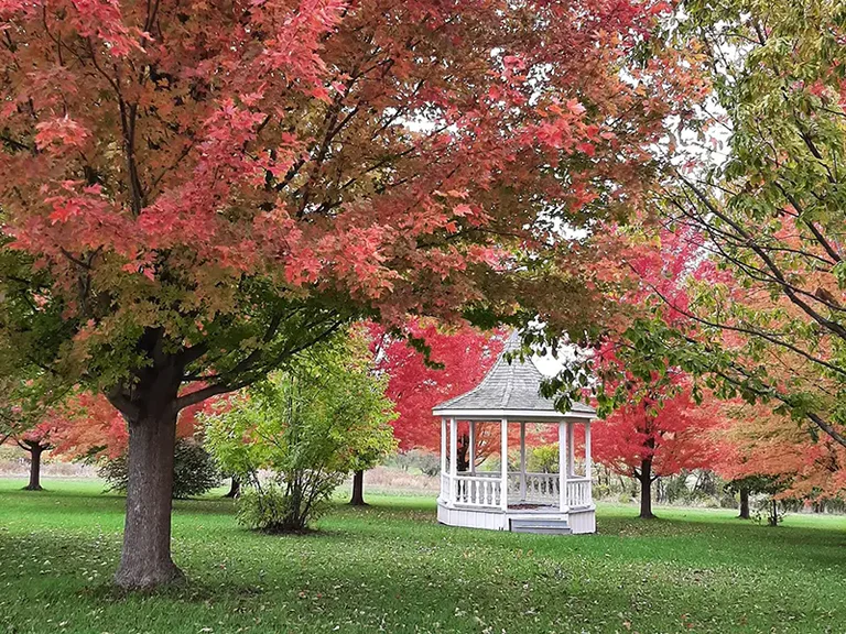 Gazebo In The Fall