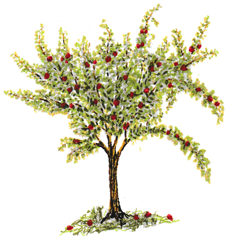 Franklin Grove Area Historical Society Logo